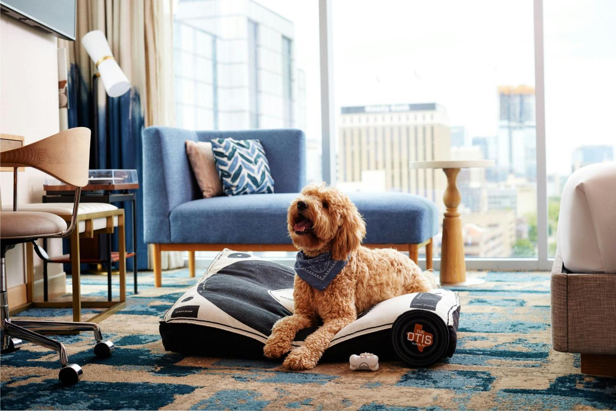 The Otis Hotel Austin, Autograph Collection Zewnętrze zdjęcie